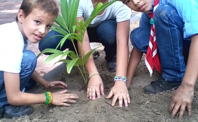 Deja una Huella - Siembra un Árbol