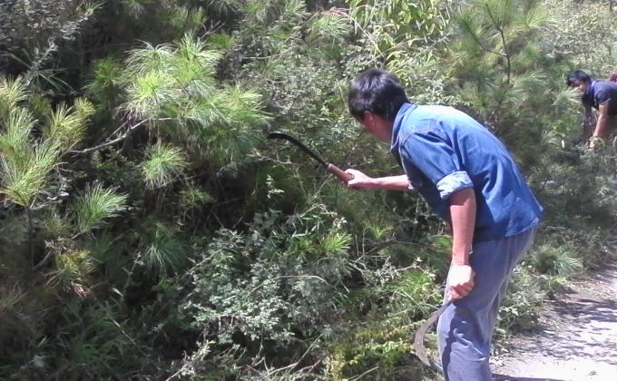 Charity Begins at Home