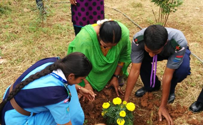 Sapling Plantation  