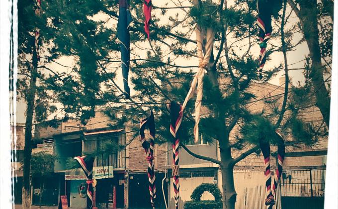 Arbol de pañoletas