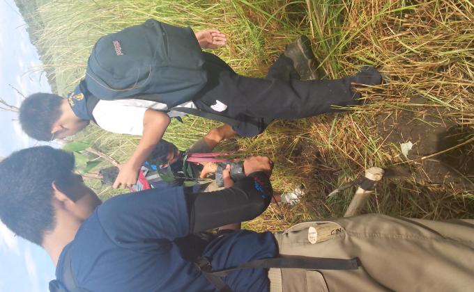 Hiking and Tree Planting Activity