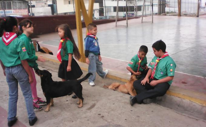 Los animales de la calle tambien son seres vivos