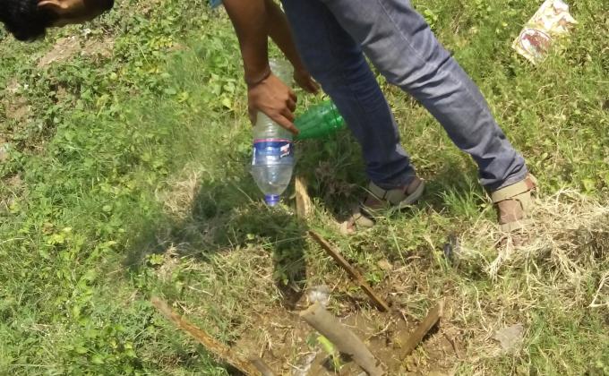 maintain tree plantation 