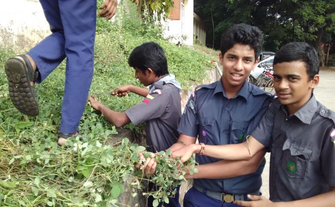 36 hours services  project GARDENING