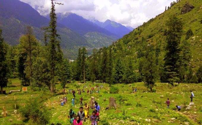 Plantation 17 Aug 2015