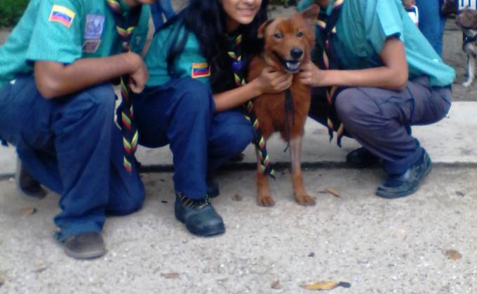 ALTO! NO AL MALTRATO ANIMAL
