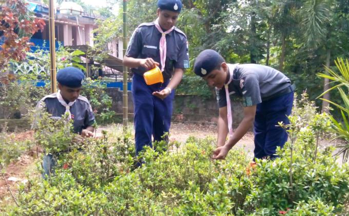 36 hours social service