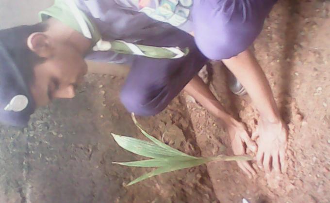 preservation of greenery