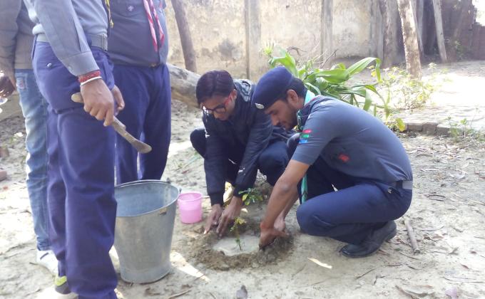 Save tree save life