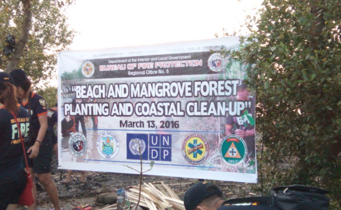 Forest Tree Planting 