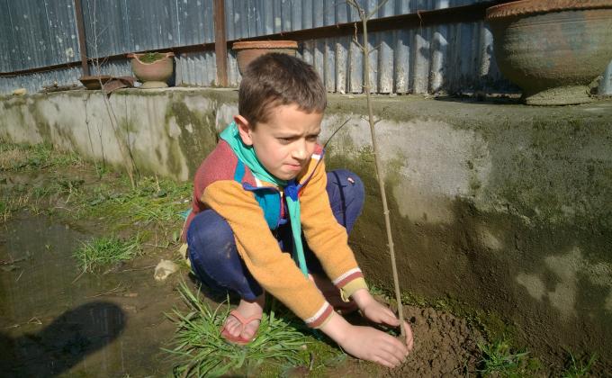 Plantation Drive