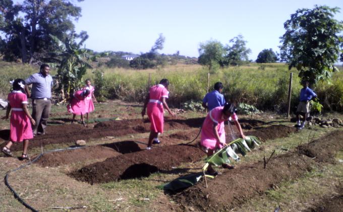 INVEST IN FOOD SECURITY