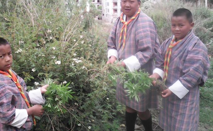  International Peace Day.