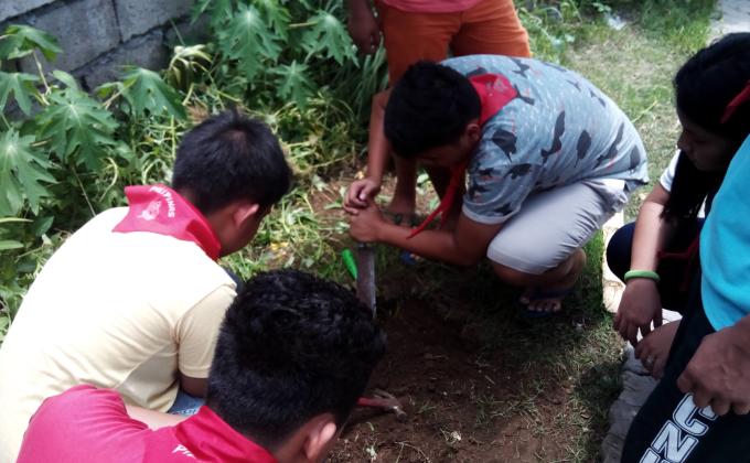 World Environment Day