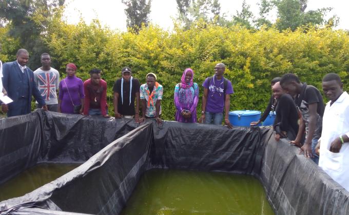 MoP Food for Project ( Intergrated Fish Farm Project) - Activity 1