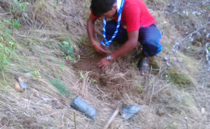 plantation on my birth day 