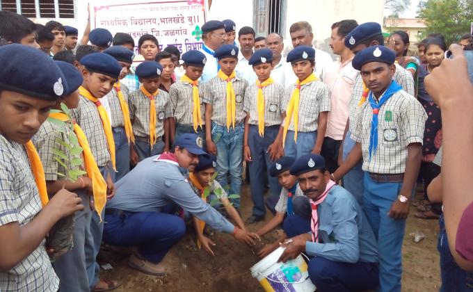 tree plantation programe