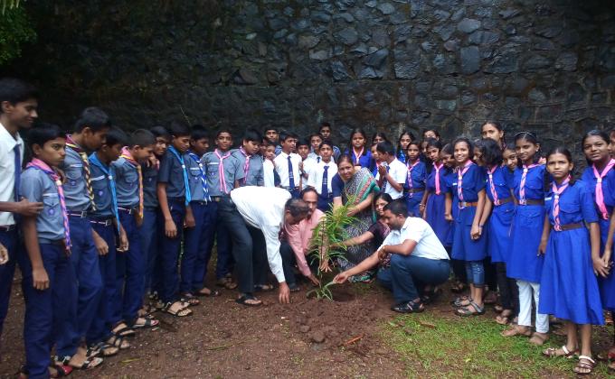 Tree Plantination Programme