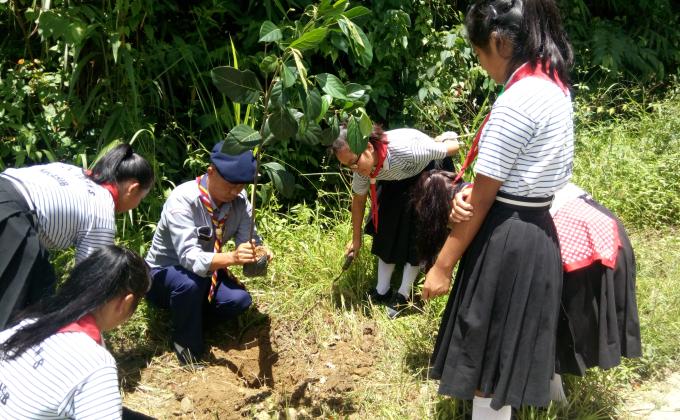 MASS TREE PLANTATION