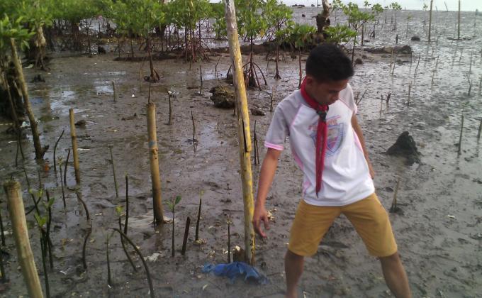 Coastal Clean Up/Fun Run and Mangrove Planting