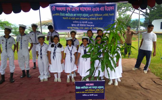 tree plantation