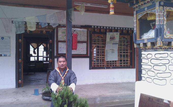 Peace Day (Adoption of Plant)