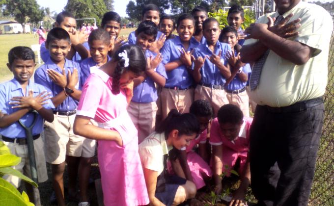 Peace Tree - In recognition of International Peace Day