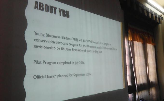 Young Bhutanese Bird.