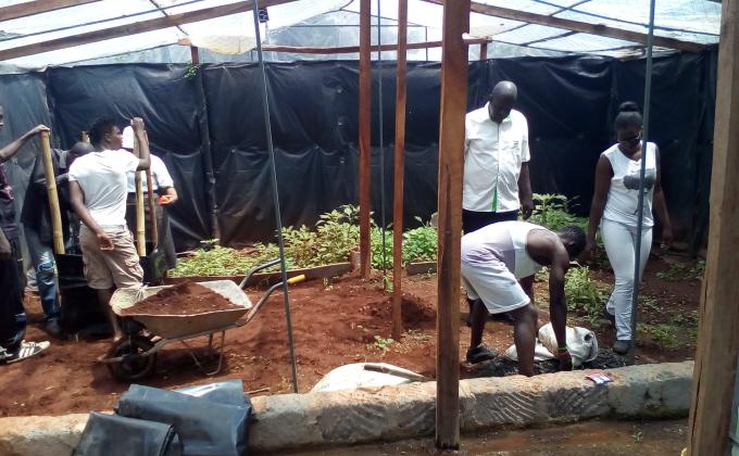MoP Food for Project ( Vegetable Garden)