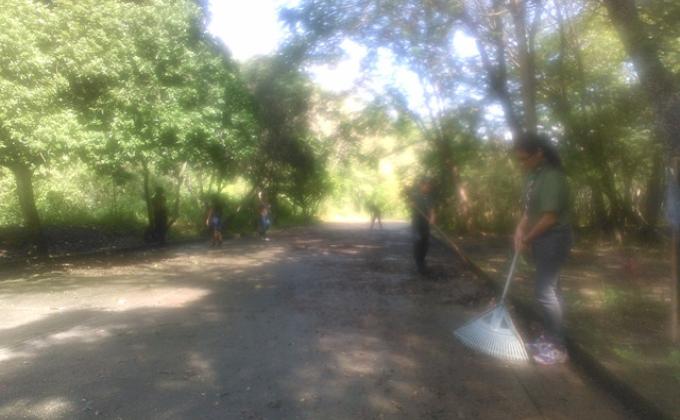 Recuperando nuestro hogar 