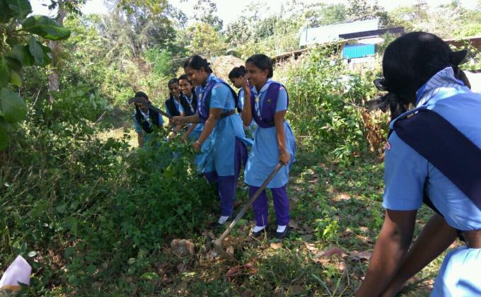 farming and cleaning