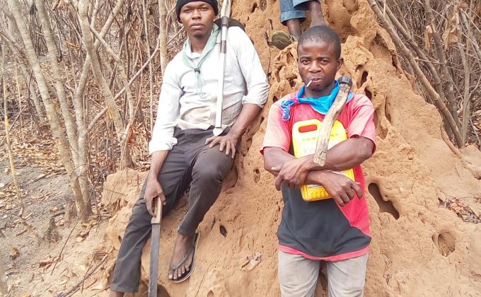 Scouts in Obot Akara Plant Cassava and Melon 
