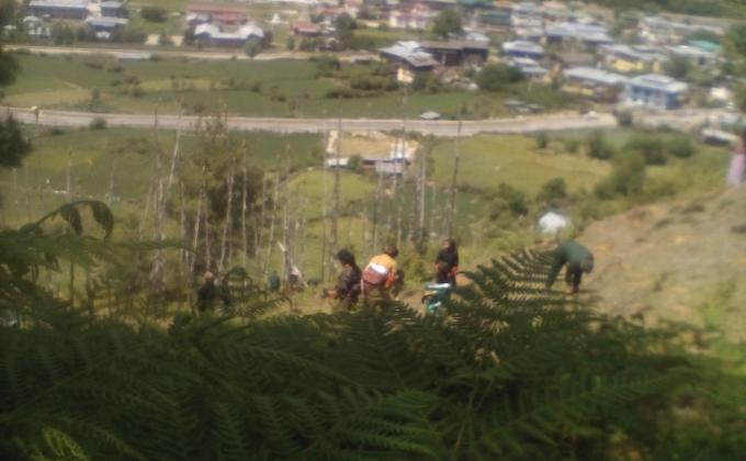Way towards  green Bhutan 