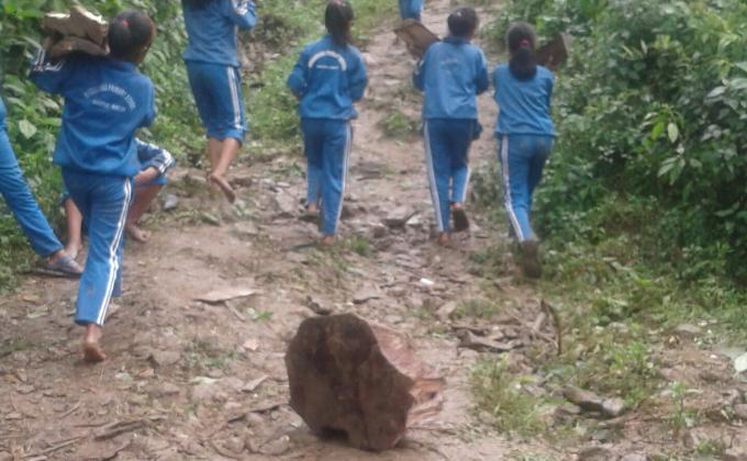 Helped in carrying fire wood