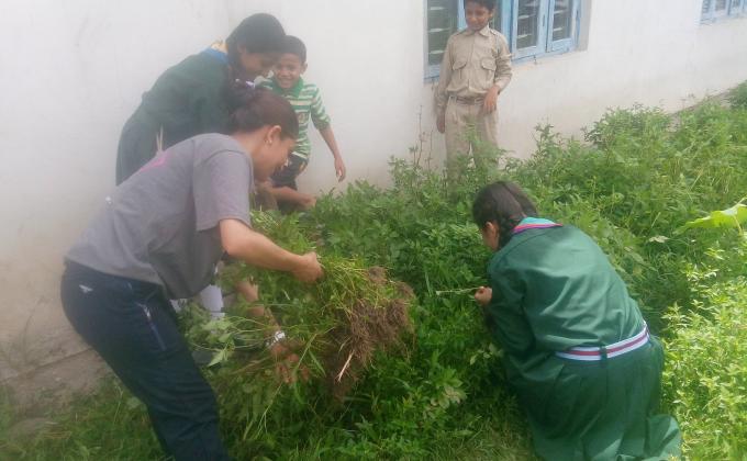 Sanitation and gardening