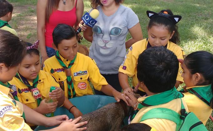 Échame una pata