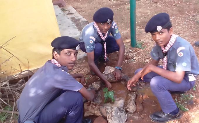 Tree planting activity