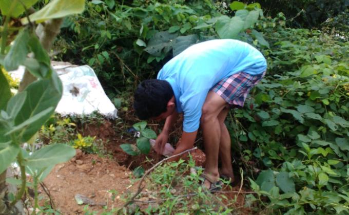 environmental sustaintainabilty