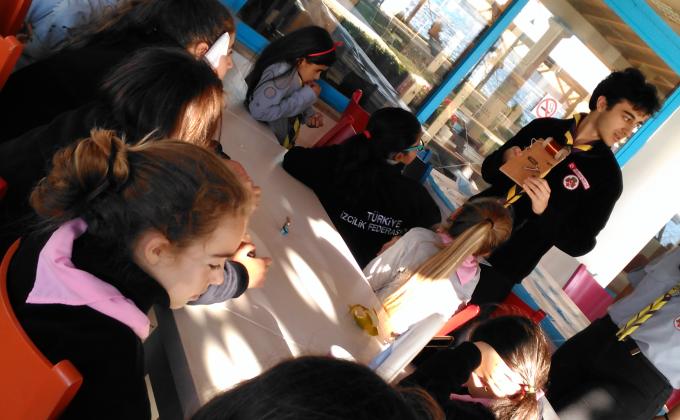 "FOXHOLE RADIO and WOBBLE BOTS" Challenge