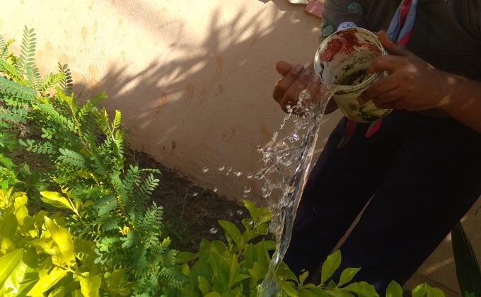 Environmental sustainability 