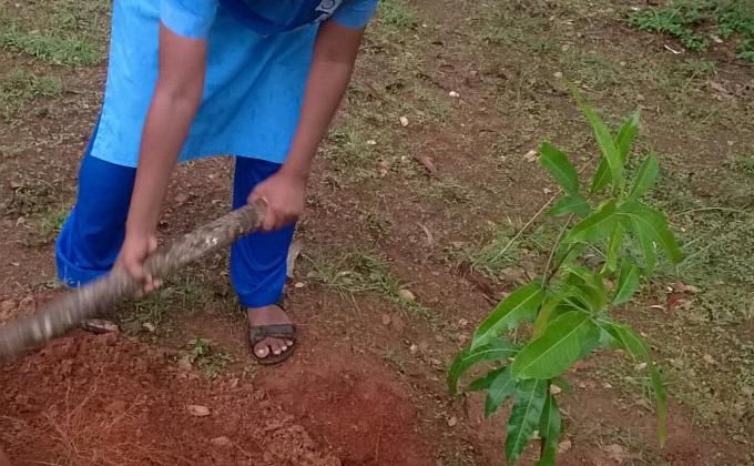 ensure environment sustainablity