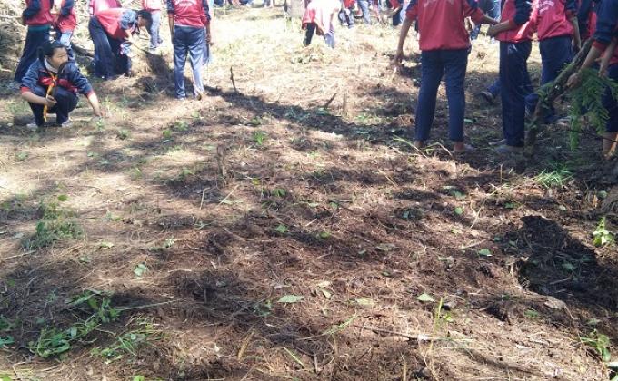 Success follows Hardwork: Regaining the lost treasure