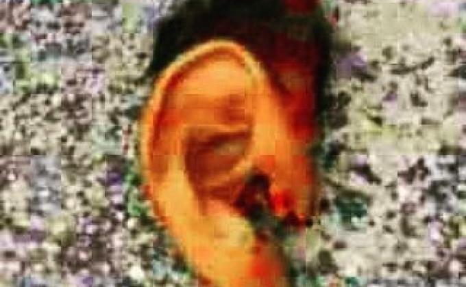 Hi