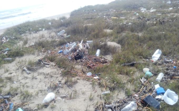 Nuestra Playa Bagdad mas Limpia