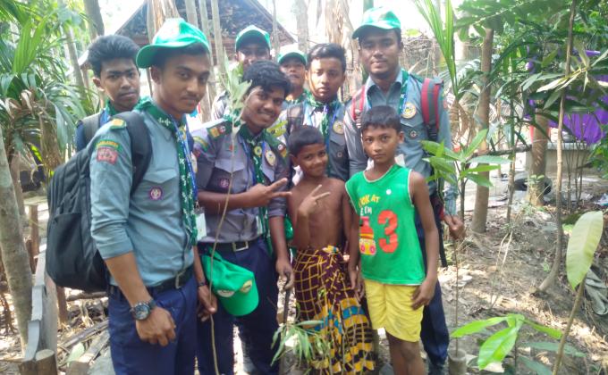 Tree Plantation