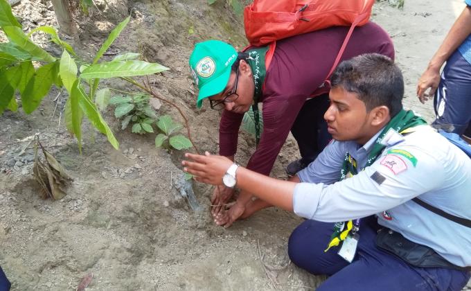Tree Plantation Program, 6th National Comdeca 2018, Chandpur