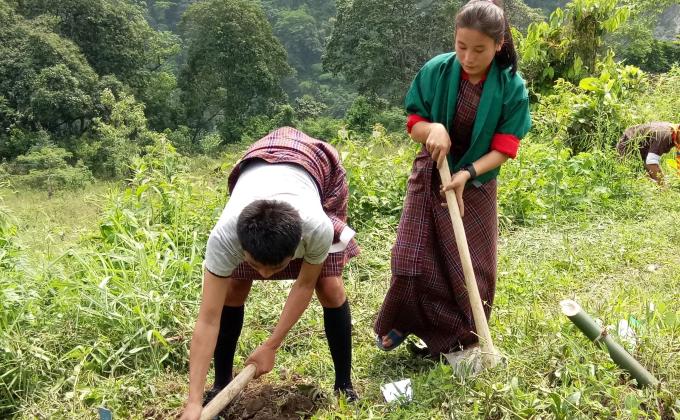 Plantation of saplings around school campus