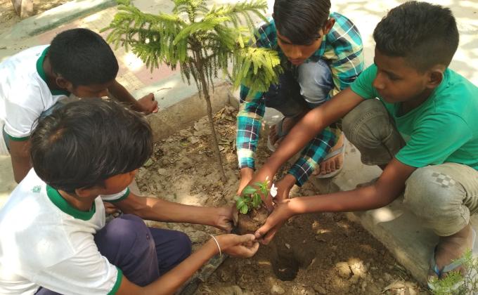 Ticket2life scouts celebrates environment day