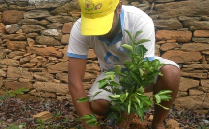 Plantation on World Environment Progranme 2018