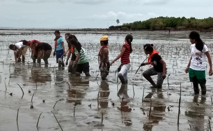 MANGROVE REFORESTATION PROJECT, COASTAL CLEAN UP AND OUTREACH PROGRAM